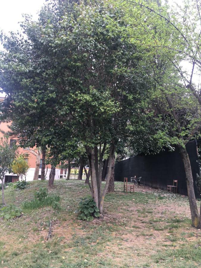 Apartament Tra S.Orsola E Fiera Bolonia Zewnętrze zdjęcie